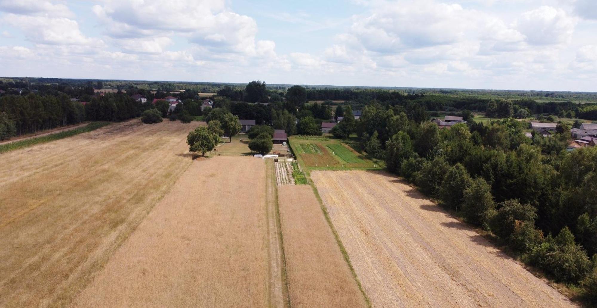 Agroturystyka Kraina Jezior Ludwin Exteriér fotografie