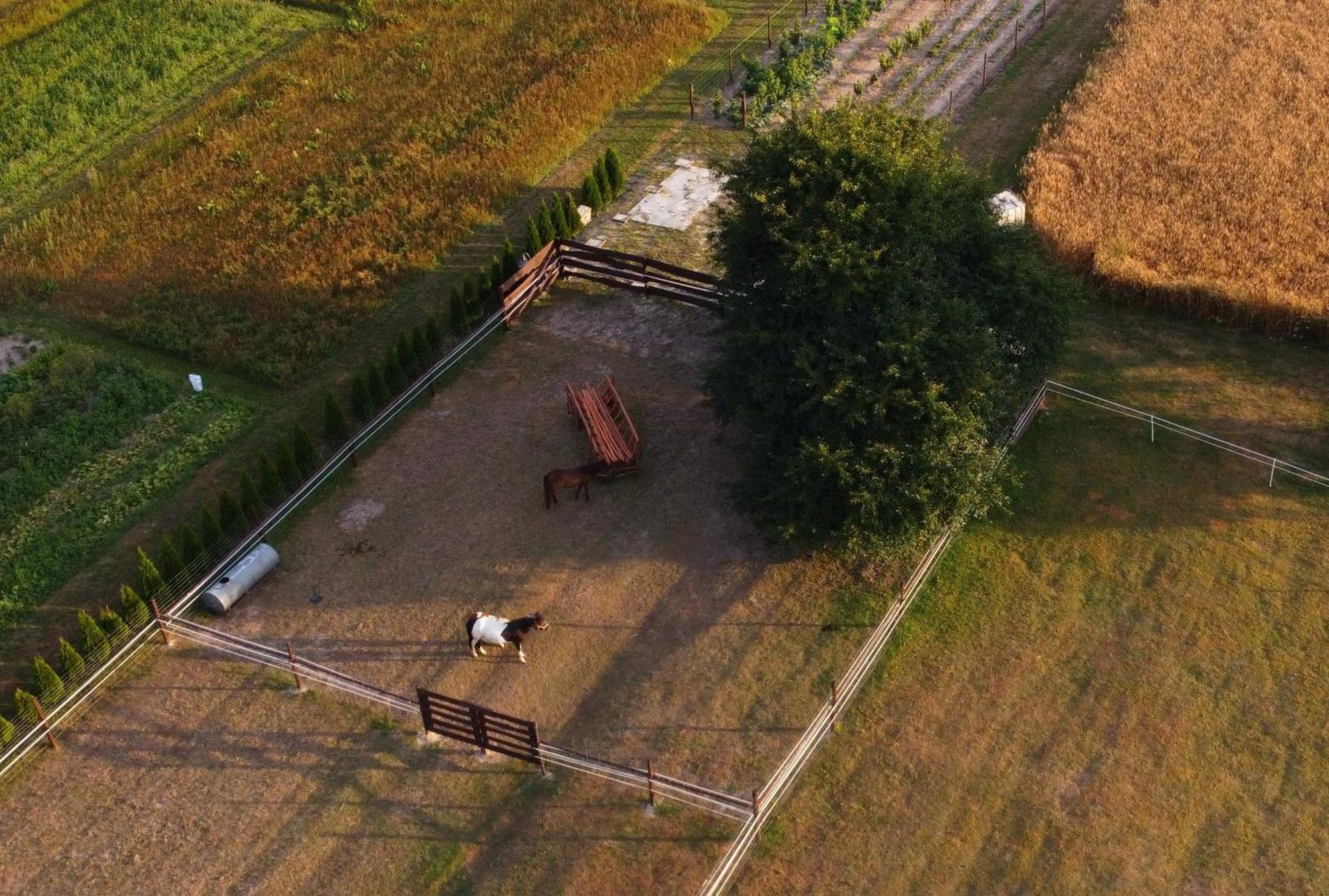 Agroturystyka Kraina Jezior Ludwin Exteriér fotografie